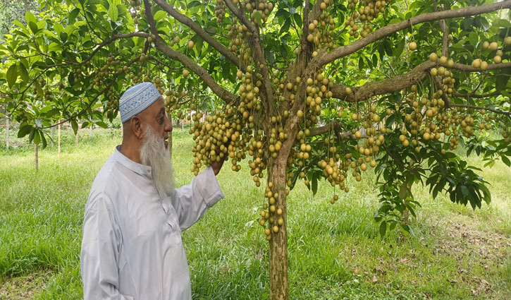 আবুল অফা লাখ টাকার লটকন বিক্রির স্বপ্ন দেখছেন
