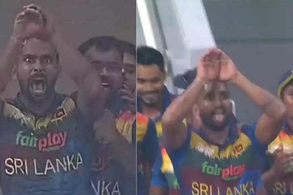 ক্রিকেটে নাগিন ড্যান্স যেভাবে এলো!