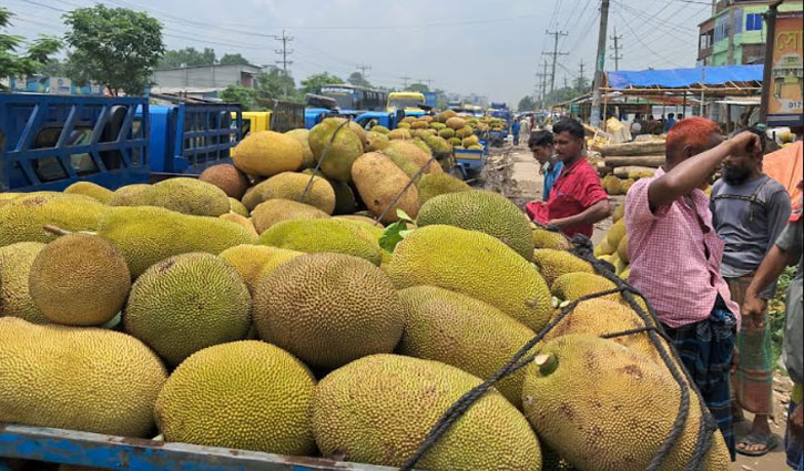 গাজীপুরে দেশের সর্ববৃহৎ কাঁঠালের হাট জৈনা বাজার