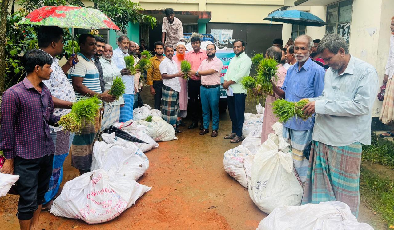 বন্যায় ক্ষতিগ্রস্ত ৪শতাধীত কৃষক পেল বিনার আমন ধানের চারা (1)